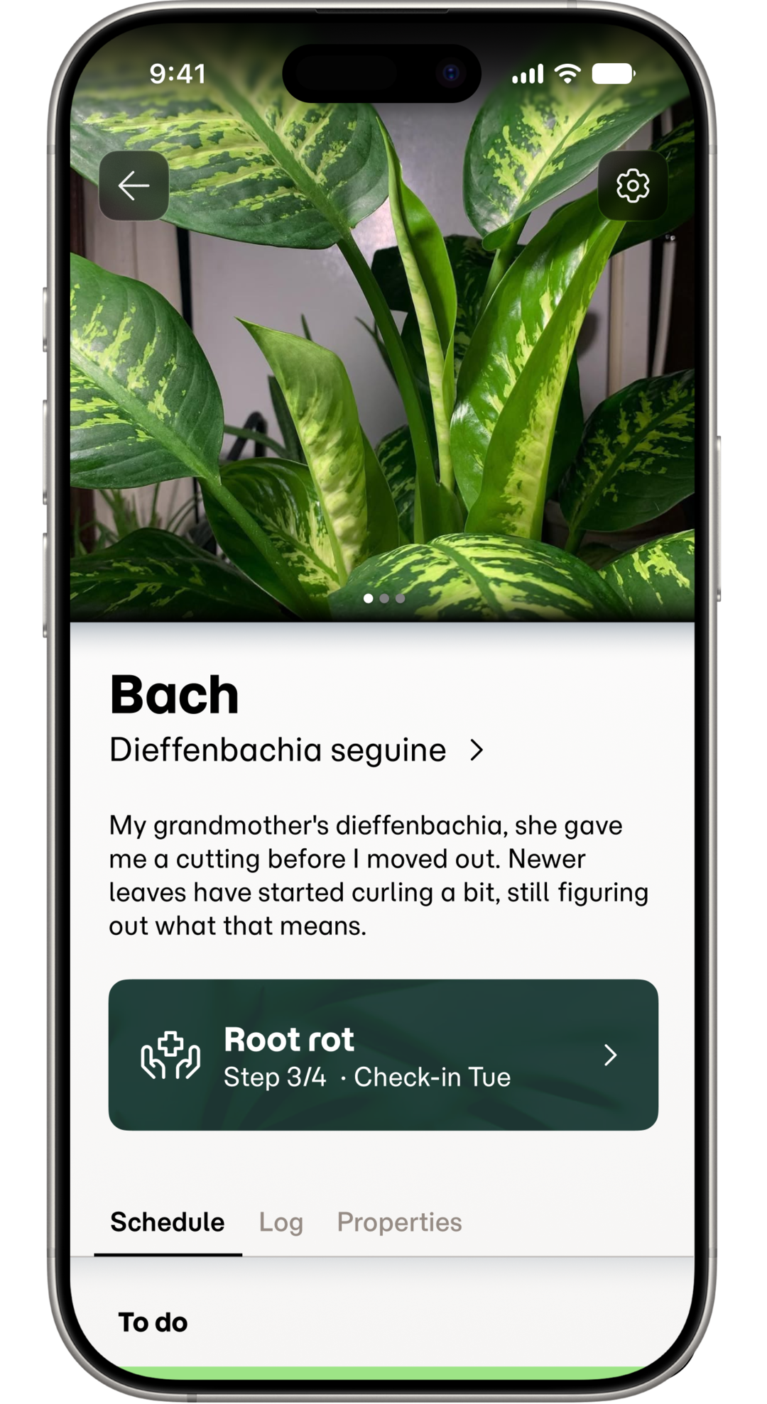 Screenshot of a plant's page